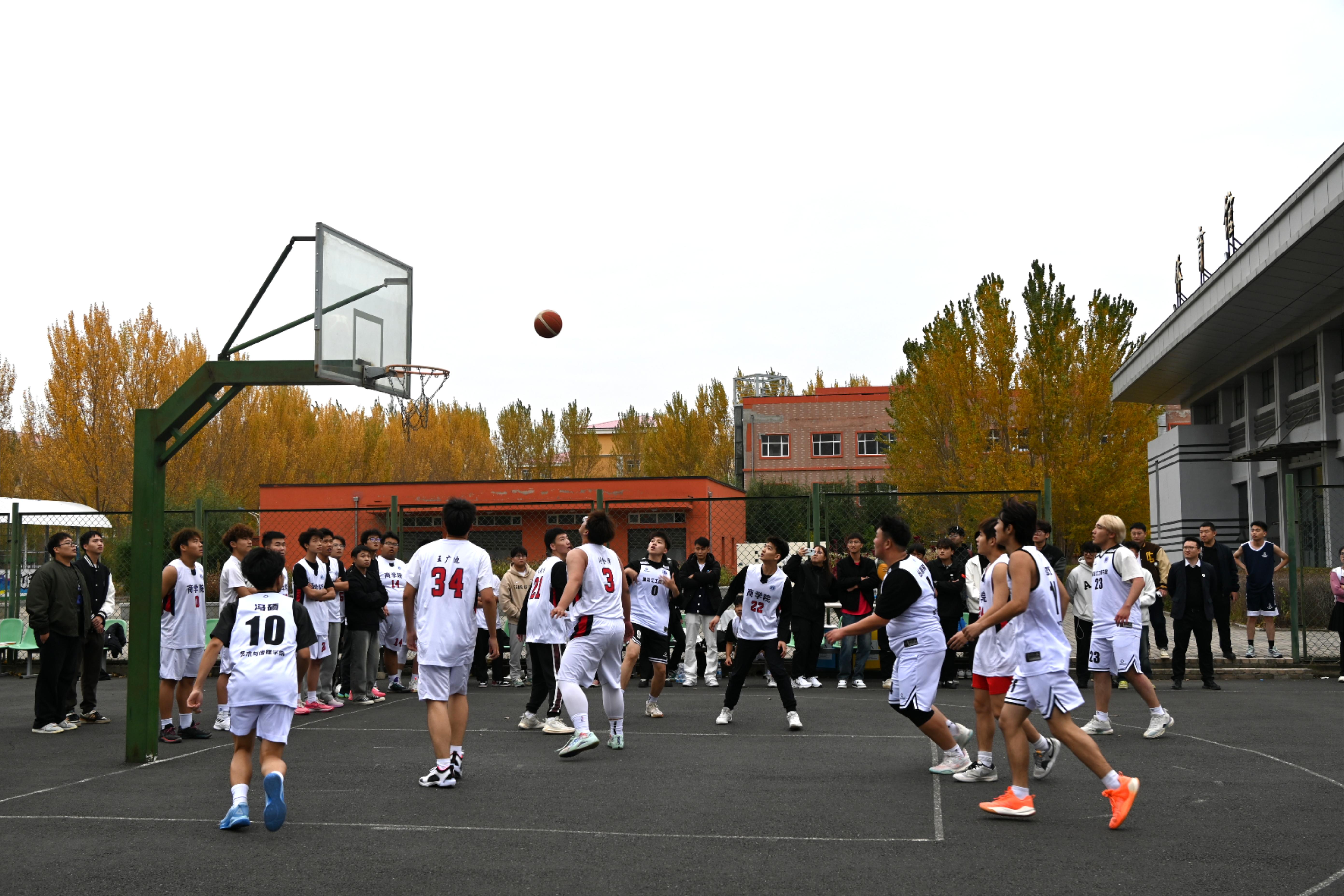 关于九游欢乐平台：校园篮球联赛总决赛，青春激情点燃赛场的信息