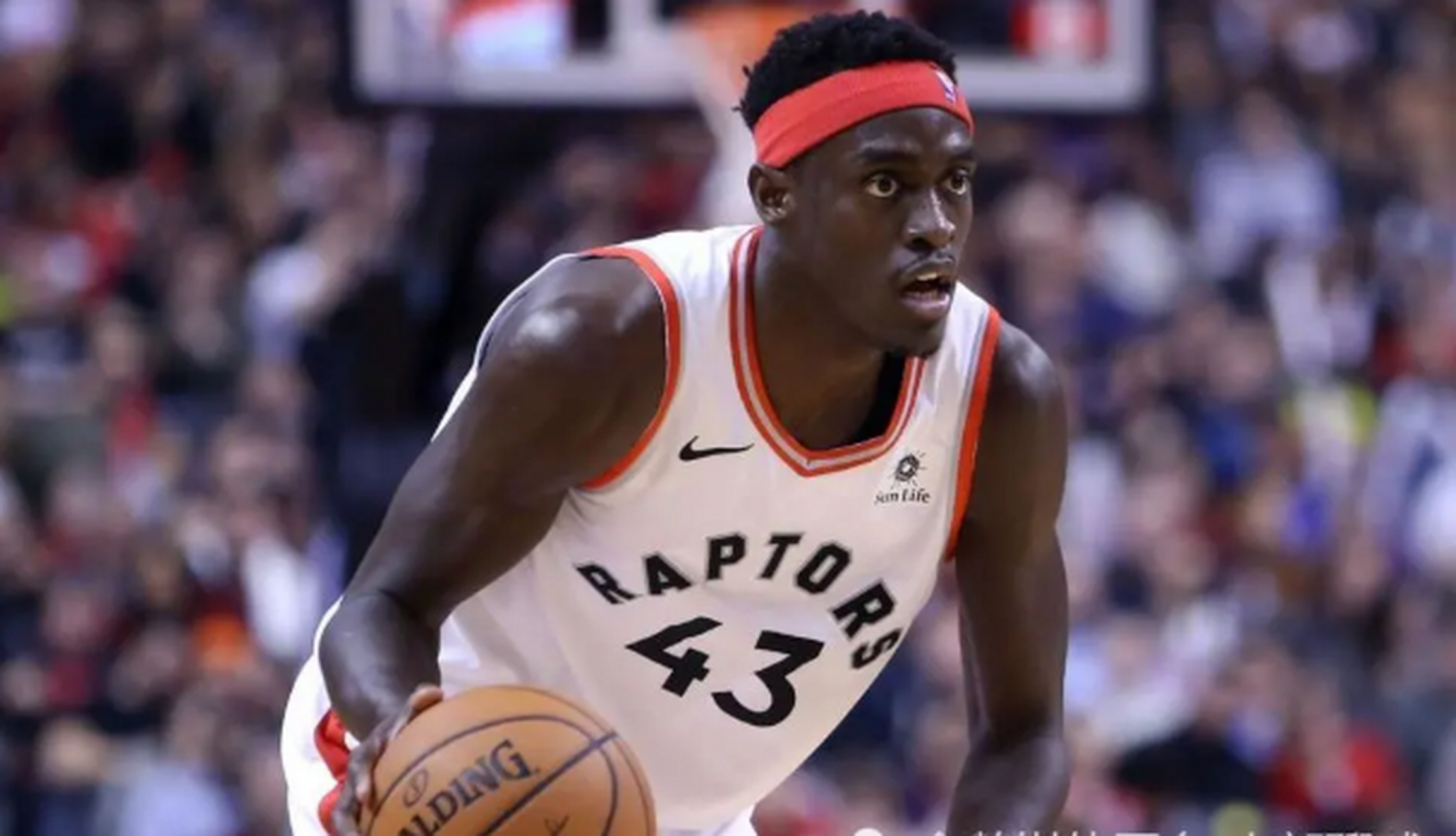 西亚卡姆:猛龙的进攻核心 西亚卡姆:猛龙的进攻核心