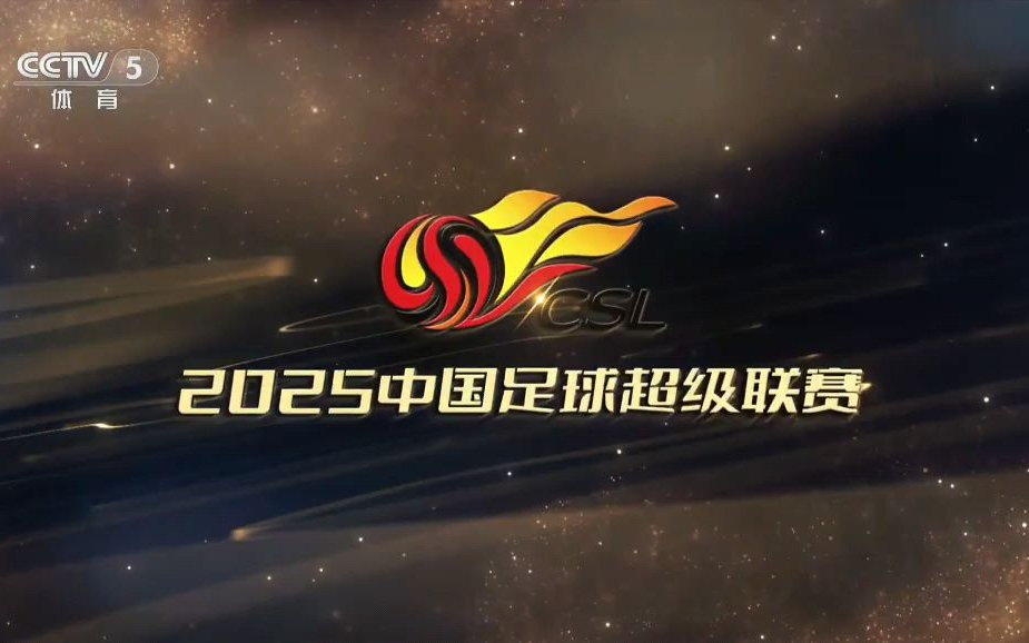 包含九游欢乐官方网站:中国足球公益足球项目可持续发展：资金来源与项目管理的词条