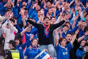 包含九游欢乐首站:德甲的观众参与感：现场氛围的营造的词条