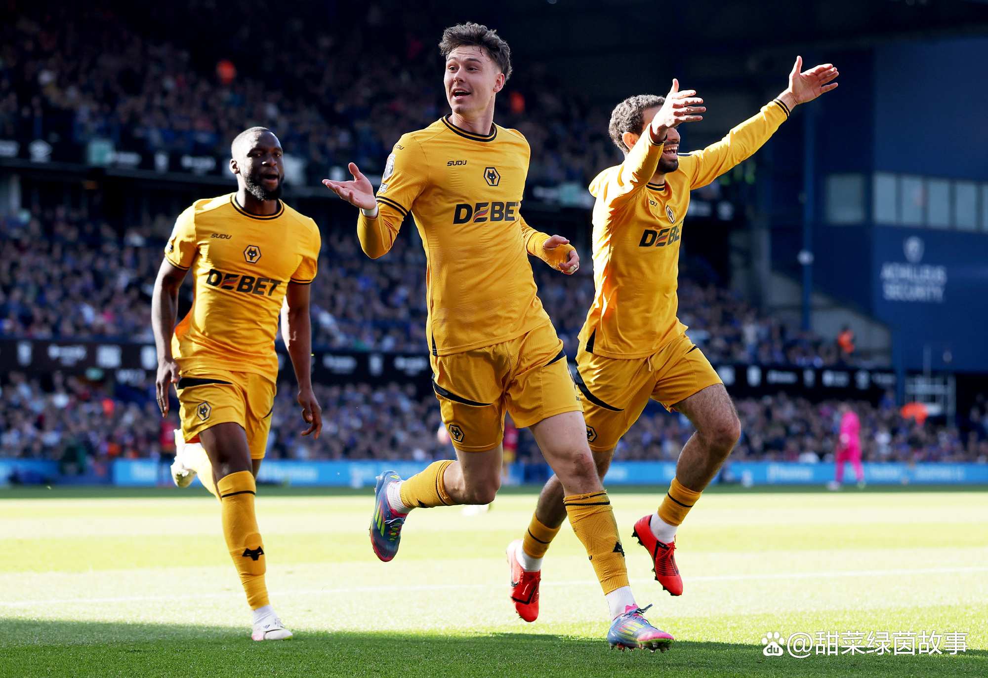 九游欢乐首站：英超狼队的战术变革与未来展望的简单介绍