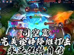 包含jiuyou.com:王者荣耀电子竞技蓝皮书发布,赛事数据全面解析的词条 包含jiuyou.com:王者荣耀电子竞技蓝皮书发布,赛事数据全面解析的词条