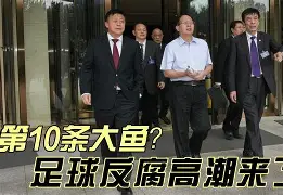 关于九游欢乐官方网站:中国足球反腐的制度设计与执行效果评估的信息