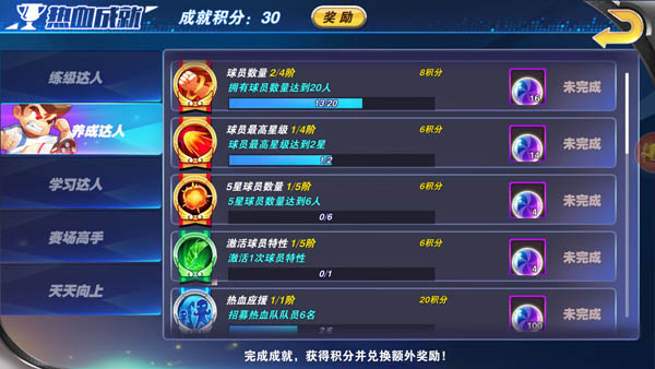 包含九游欢乐官方网站:中国足球公益足球项目社会效益评估：促进青少年健康成长与社会融合的词条